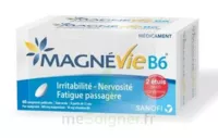 Magnevie B6 100 Mg/10 Mg Comprimés Pelliculés 2plq/60 (120) à FLERS-EN-ESCREBIEUX