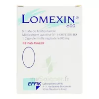 Lomexin 600 Mg Caps Molle Vaginale Plq/1 à FLERS-EN-ESCREBIEUX